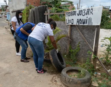 Prefeitura de Lauro de Freitas oferece um novo canal de comunicação para o combate à Dengue