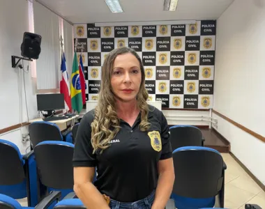 Delegada-geral da Polícia Civil, Heloísa Brito