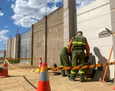 Ações combateram cerca de 47% a mais que no mesmo período do ano passado