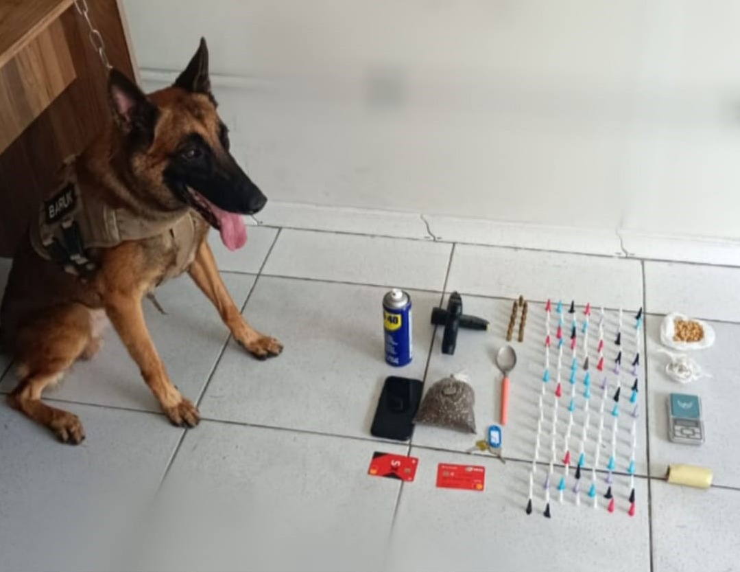 Cão policial Baruk, do 8º Batalhão