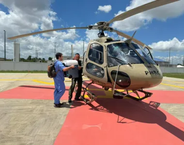 Transporte foi realizado na manhã deste sábado