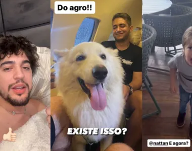 Nattan fica 'em água' e tem cachorros furtados por Henrique e Juliano