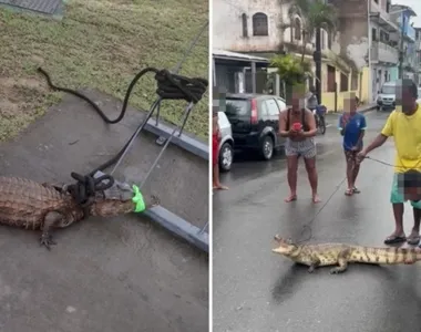 A captura aconteceu durante a manhã desta segunda-feira (8)