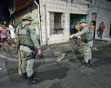 Momento que o jacaré estava sendo resgatado