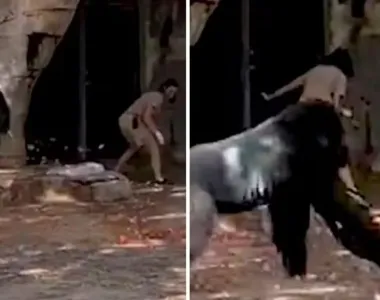 O gorila Elmo persegue dois tratadores no  zoológico de Forth Worth, nos EUA