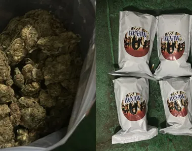 Com ela foram encontrados 3,1 kg de maconha enrolados em pacotes de aproximadamente 520g cada