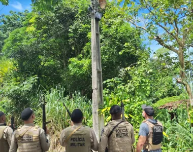 Policiais militares e civis localizaram e retiraram os equipamentos