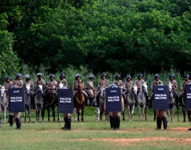 Policiais e cavalos participaram de treinamento