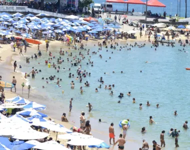 Feriado do Dia da Consciência Negra é celebrado nesta quarta-feira (20)