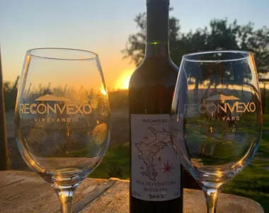 Reconvexo: Vinhos premiados em concurso nacional