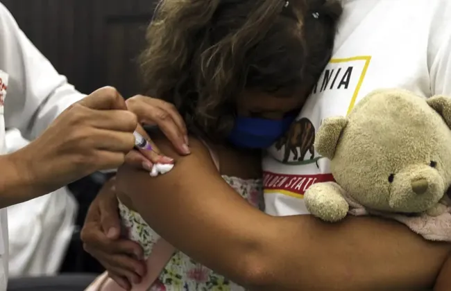 Imagem ilustrativa da imagem 