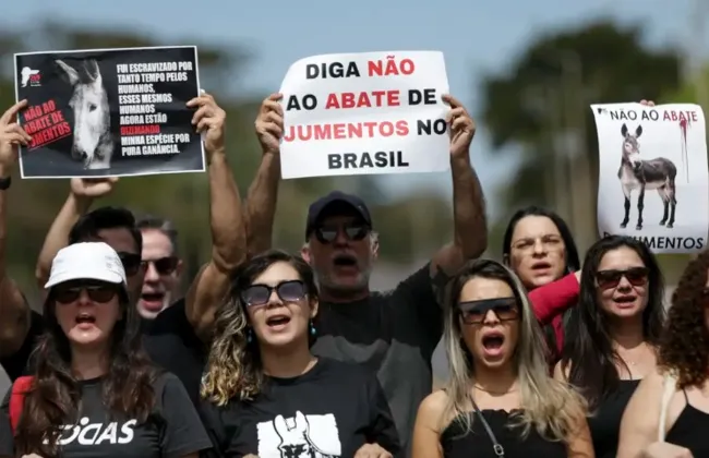 Imagem ilustrativa da imagem 