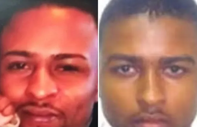 Imagem ilustrativa da imagem 