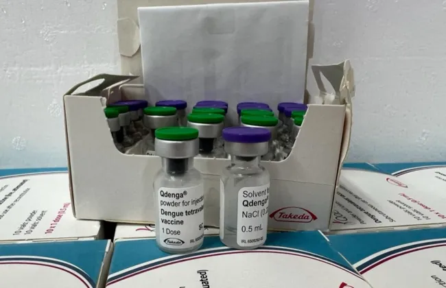 Imagem ilustrativa da imagem Vacinas da dengue serão aplicadas em adultos pelo SUS; saiba detalhes