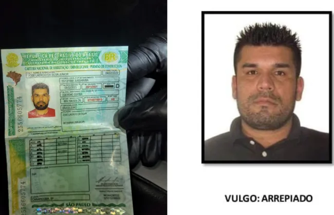 Imagem ilustrativa da imagem 