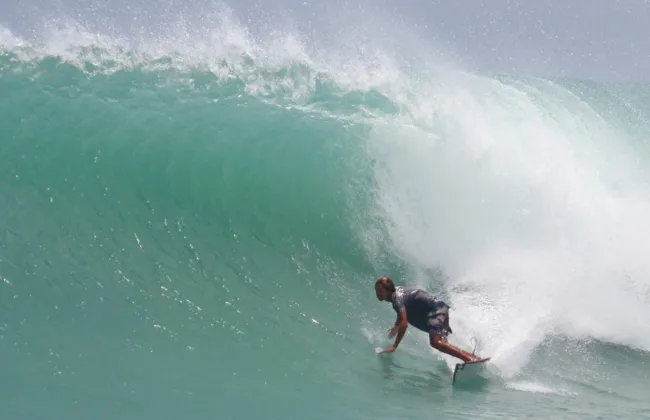 Imagem ilustrativa da imagem 