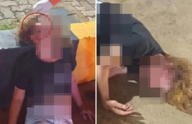 Imagem ilustrativa da imagem 