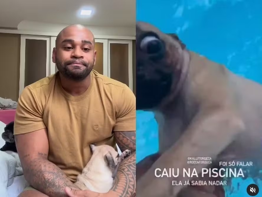 Ex-BBB e ex-Fazenda gravou um vídeo com o animal se afogando nas redes sociais