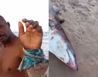 Tubarão atacou o braço do pescador