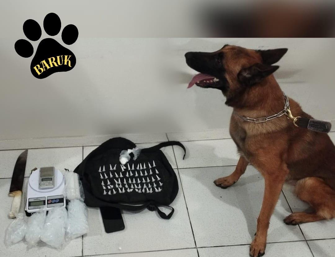 Cão farejador da PM é chamado de Baruk