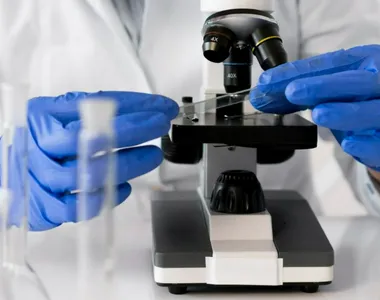 Amostras de fezes são coletadas