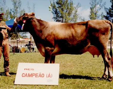 Exemplares premiados da pecuária do estado desfilam no palco da Fenagro