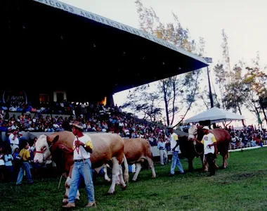 Em 1998, houve exposição de cavalos Mangalarga na Fenagro