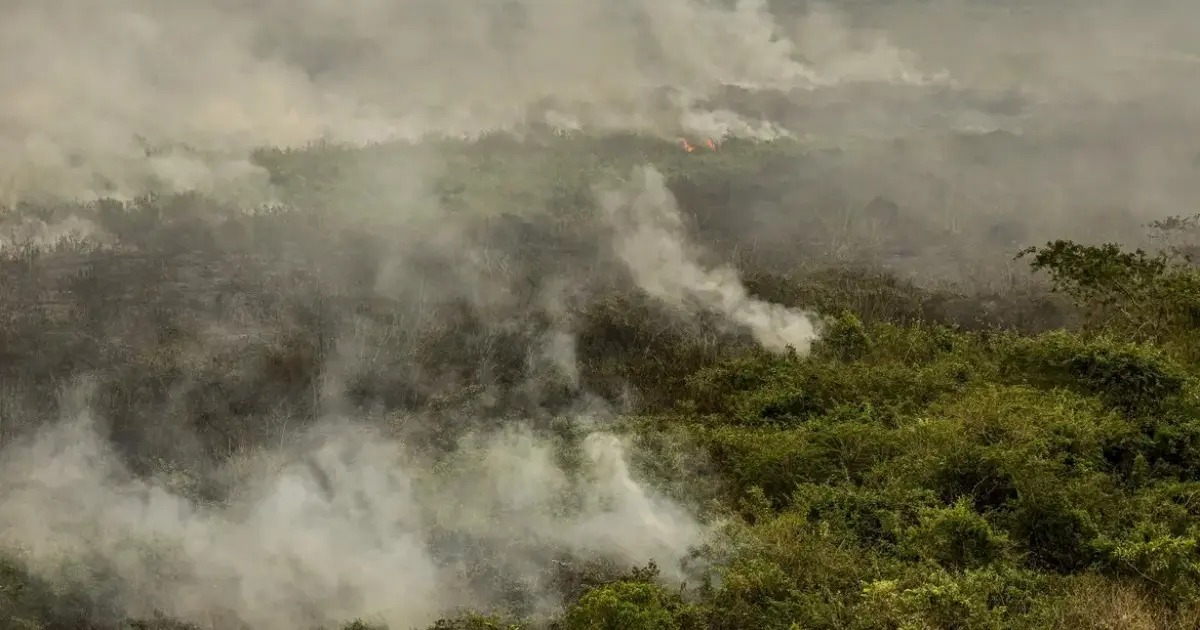 O incêndio já destruiu 20 mil hectares