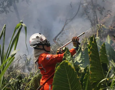 Nos últimos dois meses, 422 incêndios foram registrados em áreas ambientais no estado da Bahia.