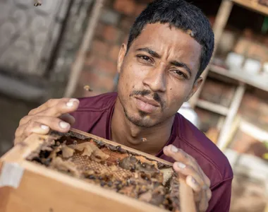 Adilton possui 19 enxames no seu quintal