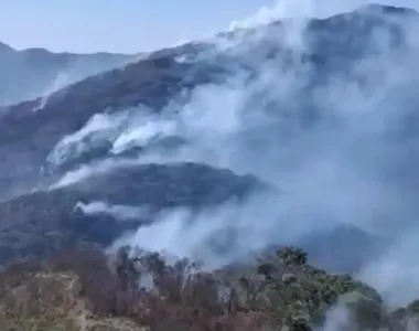 Queimadas estão castigando o estado