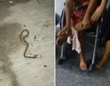 Cobra foi identificada como do tipo jararaca