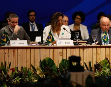 Anielle Franco, ministra da Igualdade Racial, fala durante reunião do G20