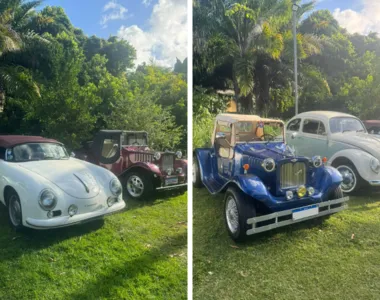 Vários modelos de carros estarão expostos