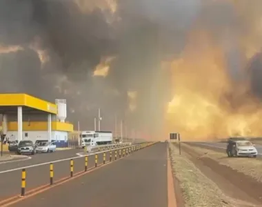 Incêndios causaram enormes prejuízos no estado