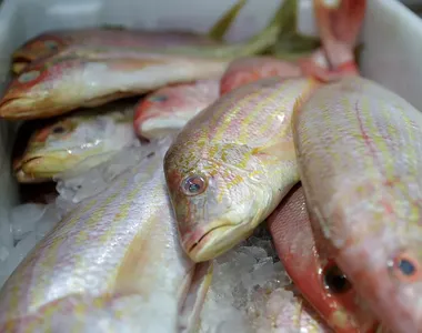 Semana do Pescado acontece em Salvador