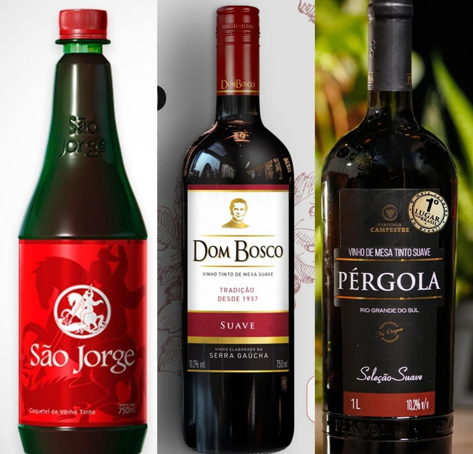 Vinhos que podem ser apreciados sem fugir do orçamento