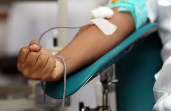 Imagem ilustrativa da imagem 