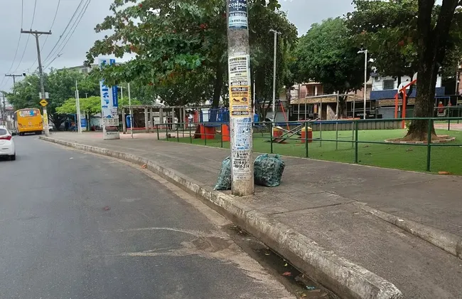 Imagem ilustrativa da imagem 