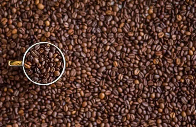 Imagem ilustrativa da imagem Governo divulga lista de cafés impróprios para consumo; saiba quais