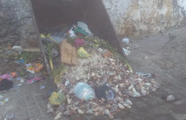 Imagem ilustrativa da imagem 