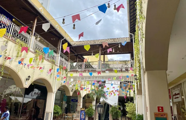 Imagem ilustrativa da imagem 