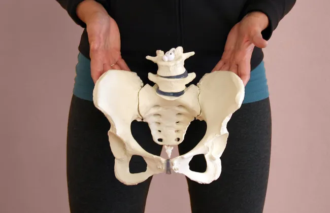 Imagem ilustrativa da imagem 