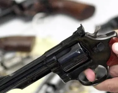 Reforma prevê menos impostos para compras de armas