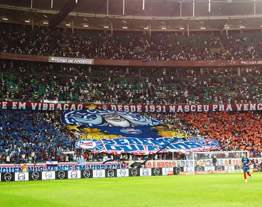 Mosaico da torcida tricolor com a frase: "Seremos odiados"