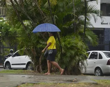 'Cacau' deve continuar caindo em Salvador