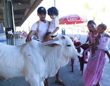 Família aproveita momento com animal