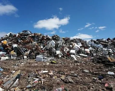 O membro foi descoberto por moradores