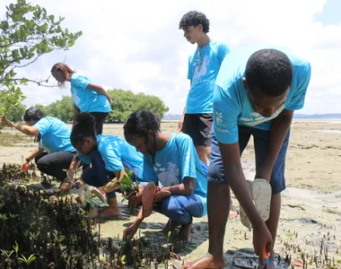 Os manguezais brasileiros possuem papel na biodiversidade