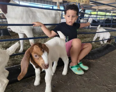 Pequeno Heitor, de 5 anos, teve contato direto com animais